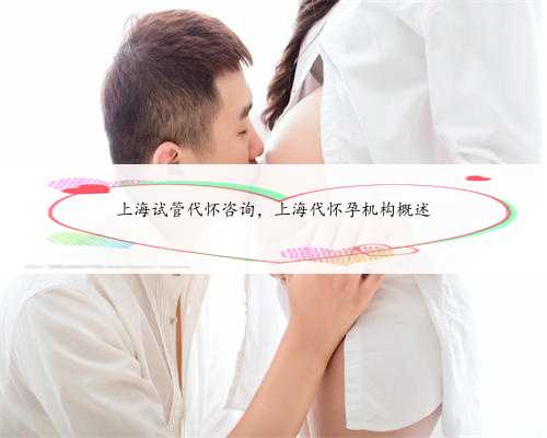 上海试管代怀咨询，上海代怀孕机构概述